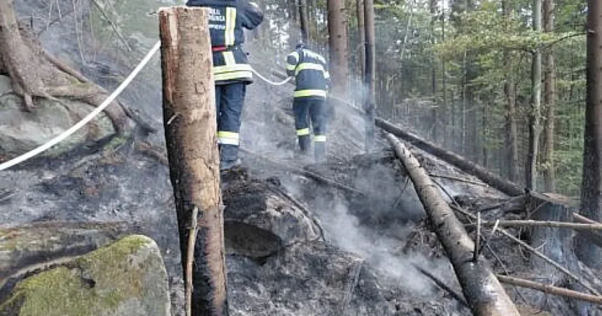 Bogdan Păstrăv cheamă la responsabilitate după incendiul din pădurea Marginea