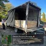 Cherestea confiscată la Valea Moldovei pentru transport ilicit de lemn