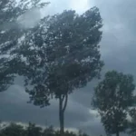 Cod galben de vânt puternic în estul județului Suceava