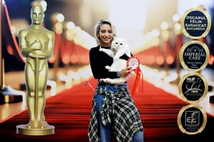 Dan Cruceru a câștigat Oscarul Felin SofistiCAT, Giulia Anghelescu promite revanșa