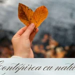 Expoziție foto „Rădăcini bucovinene, perspective europene”, inspirată de natură și tineri
