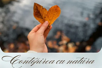 Expoziție foto „Rădăcini bucovinene, perspective europene”, inspirată de natură și tineri