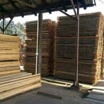 Firmă din Sucevița, amendată cu 50.000 de lei și lăsată fără lemn de 75.000 de lei