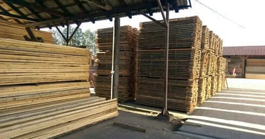 Firmă din Sucevița, amendată cu 50.000 de lei și lăsată fără lemn de 75.000 de lei