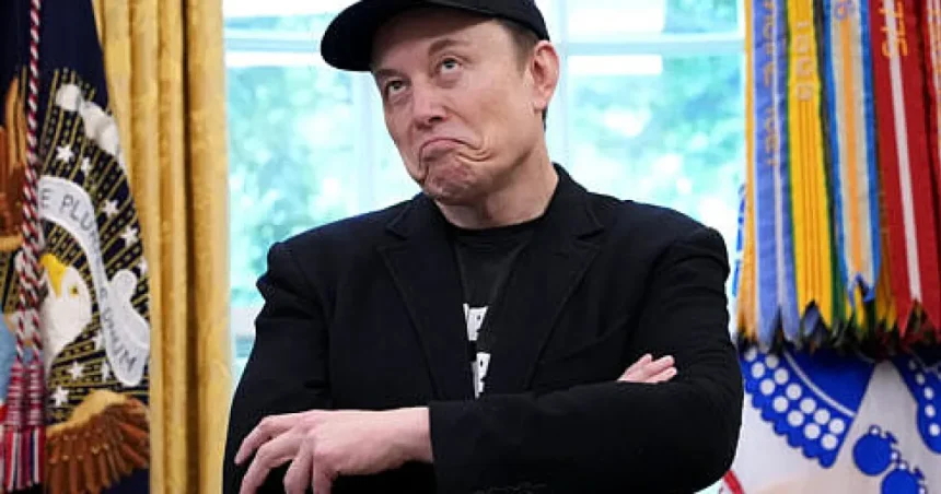 Fostele iubite ale lui Elon Musk vorbesc. Dezvăluiri despre viața sa privată