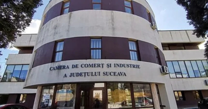 Gala Excelenței în Afaceri la Suceava. Economia a crescut, investițiile străine au scăzut