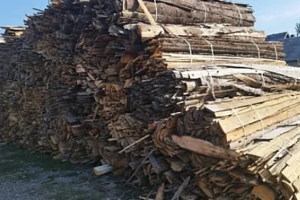 Garda Forestieră Suceava: amenzi de 232.000 lei și 1.360 mc de lemn confiscat