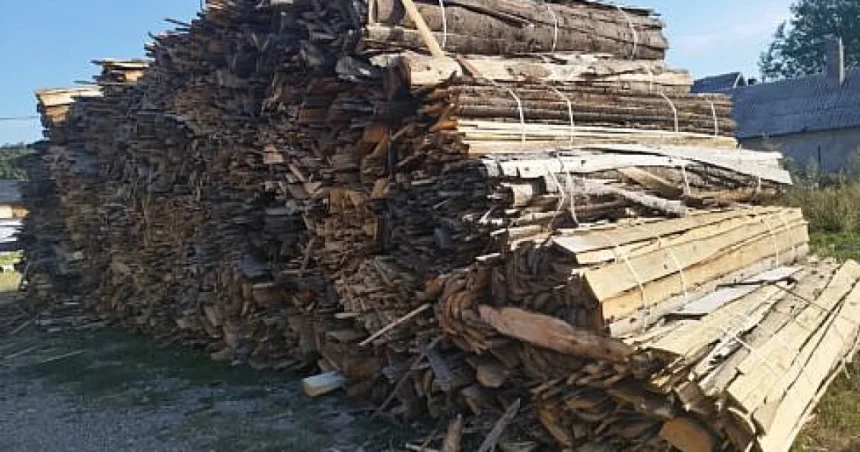 Garda Forestieră Suceava: amenzi de 232.000 lei și 1.360 mc de lemn confiscat