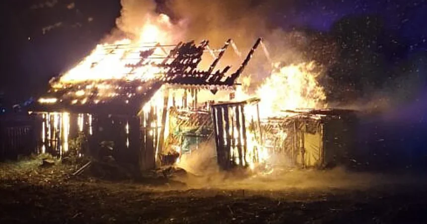 Incendiu de amploare la un adăpost de animale dintr-o gospodărie din Zaharești, Stroiești