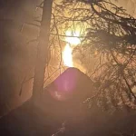 Incendiu în pădurea din Marginea. Peste 100 de pompieri intervin de 24 de ore