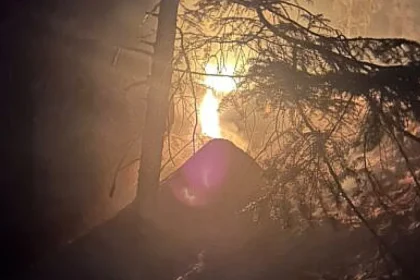 Incendiu în pădurea din Marginea. Peste 100 de pompieri intervin de 24 de ore