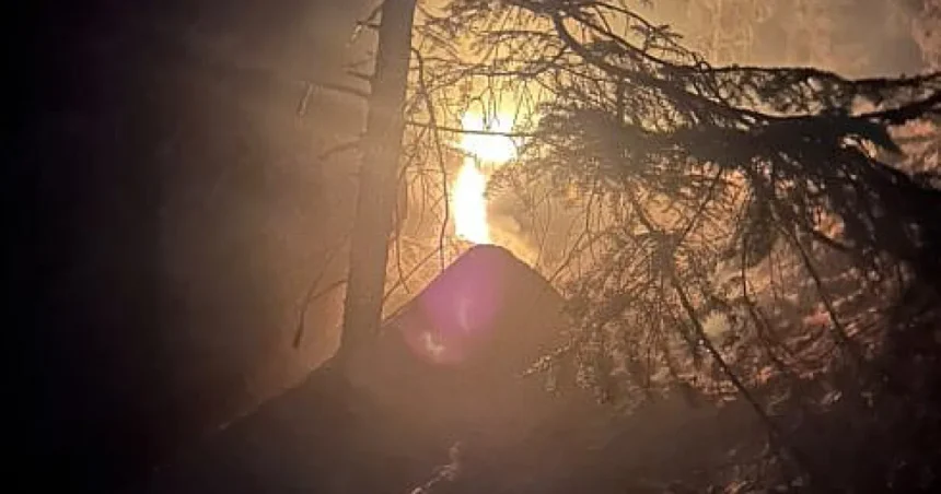 Incendiu în pădurea din Marginea. Peste 100 de pompieri intervin de 24 de ore