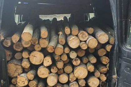 Lemn confiscat de polițiștii din Vicovu de Sus. Bărbatul a rămas fără plăcuțe