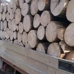 Lemn de foc fără acte confiscat și amendă pentru o femeie din Vicovu de Jos