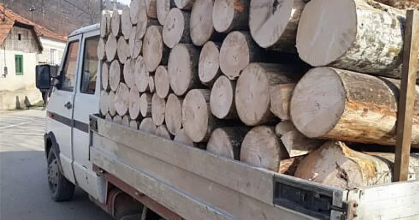 Lemn de foc fără acte confiscat și amendă pentru o femeie din Vicovu de Jos