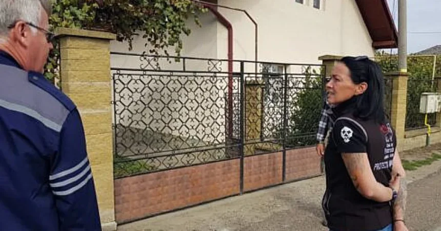 Lună de foc în proiectul pilot de recensământ al câinilor cu stăpân din Suceava