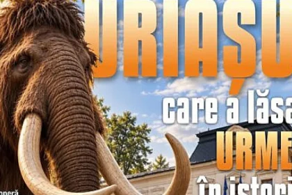 Mamutul care a lăsat urme în istorie: ateliere de educație muzeală