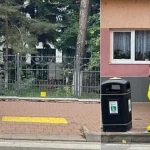 Mascotele de la trecerea de pietoni de la Școala 3 din Suceava vor primi nume (foto)