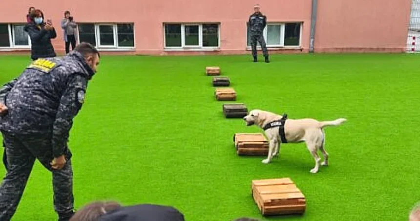 Mii de copii au aplaudat demonstrațiile echipelor canine ale Vămii în „Școala Altfel”