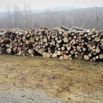 Nereguli majore găsite la o firmă din Bilca în urma unui control silvic