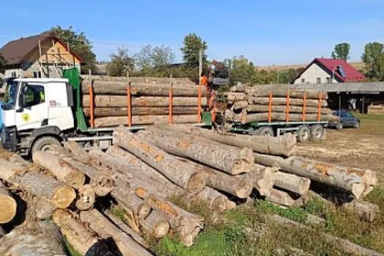 Nereguli silvice la două firme din Slatina, sancționate drastic