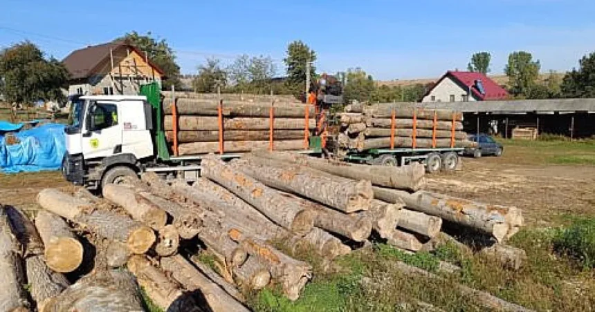 Nereguli silvice la două firme din Slatina, sancționate drastic