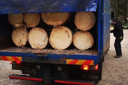 Polițiștii au depistat un transport ilegal de lemne în Râșca