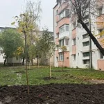 Primăria Suceava prioritizează plantarea de puieți și spațiile verzi