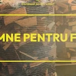 Romsilva oferă circa 2 milioane de metri cubi de lemn de foc în 2026, la prețuri similare