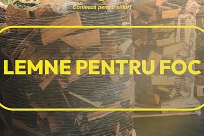 Romsilva oferă circa 2 milioane de metri cubi de lemn de foc în 2026, la prețuri similare