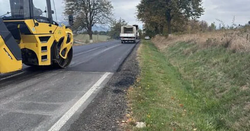 Șoldan: Se finalizează lucrările pe DN2E, între Voitinel și Vicovu de Jos