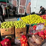 Târgul Mărului din Fălticeni a atras mii de vizitatori și cumpărători