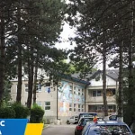 Tinerii ieșiți din protecție pot cere indemnizația lunară. Condiții și termen de plată