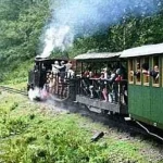 Turistă din Giurgiu, rănită după ce a căzut de pe scara vagonului mocăniței din Moldovița
