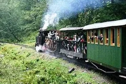 Turistă din Giurgiu, rănită după ce a căzut de pe scara vagonului mocăniței din Moldovița