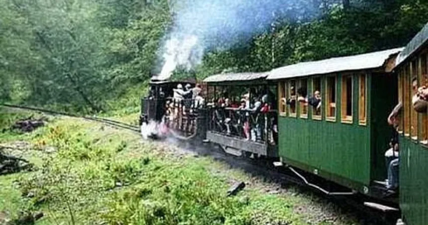 Turistă din Giurgiu, rănită după ce a căzut de pe scara vagonului mocăniței din Moldovița