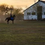 Ungaria atrage turiști în extrasezon prin gastronomia locală