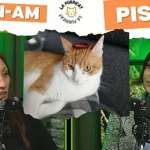 Viața secretă a iubitorilor de pisici: culisele unei ediții feline „Am/N-am”